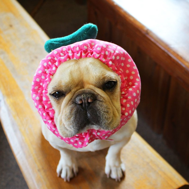 冷やし犬ヅラ　ピンク　キュウリ - 衣/帽 - 羊毛 粉红色