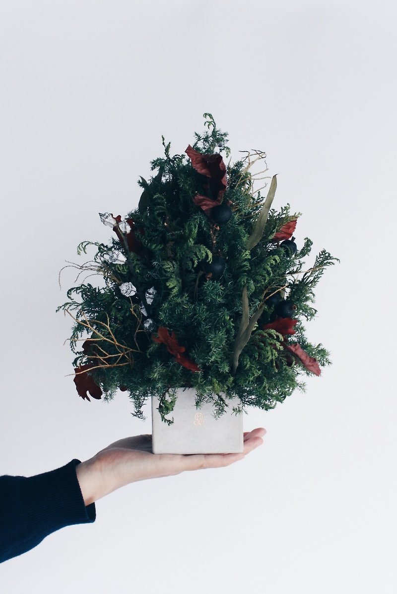 Xmas Tree!【森林之神-Pan】干燥花 圣诞树 圣诞节 布置 花圈 - 干燥花/捧花 - 植物．花 绿色