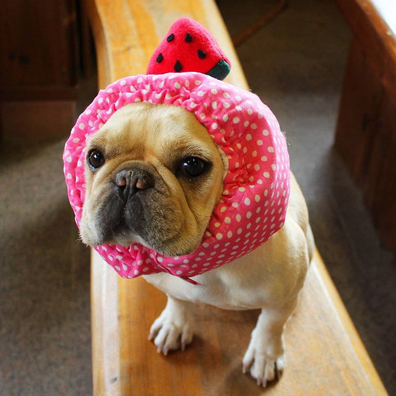 冷やし犬ヅラ　ピンク　赤スイカ - 衣/帽 - 羊毛 粉红色