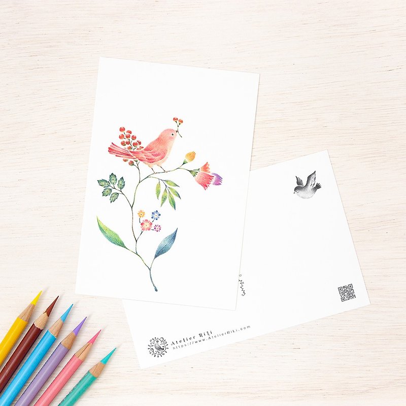 5枚セット。絵本のような。ポストカード "桃色の小鳥と草花" PC-111 - 卡片/明信片 - 纸 粉红色