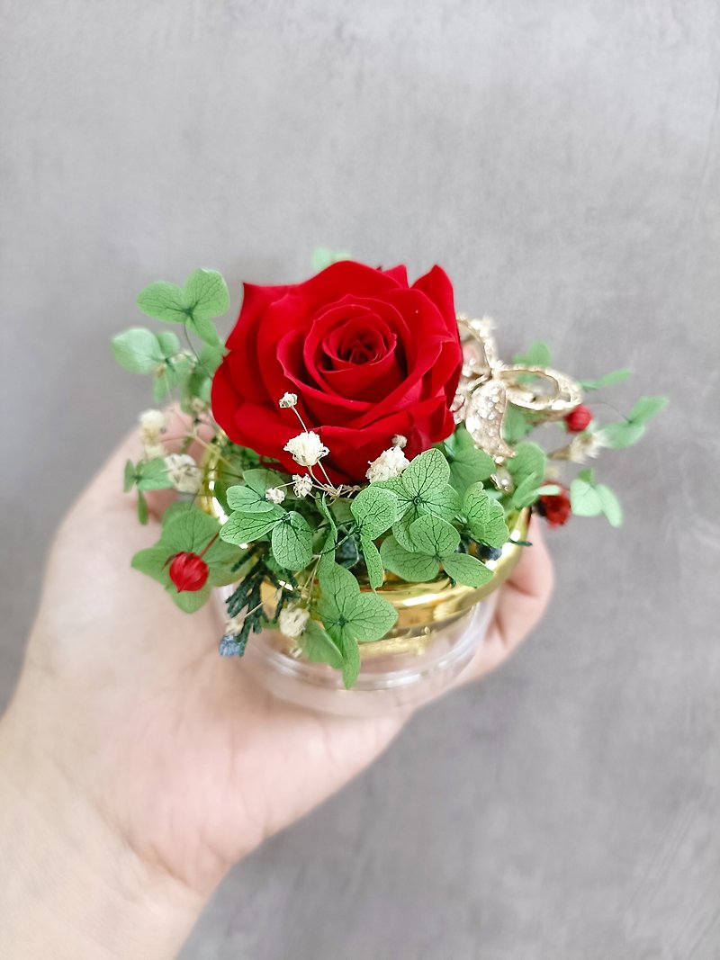 永生玫瑰花园音乐盒材料包 - 植栽 - 植物．花 红色