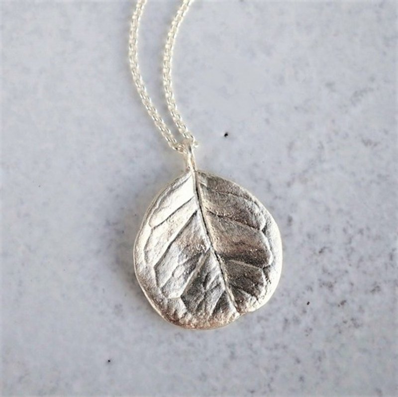 Feijoa leaf necklace (round) {P074SV} - 项链 - 其他金属 