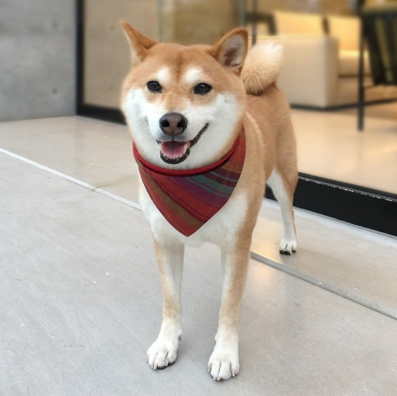 狗狗专属名领巾-定制化(中型犬)-深红条纹 - 项圈/牵绳 - 棉．麻 红色
