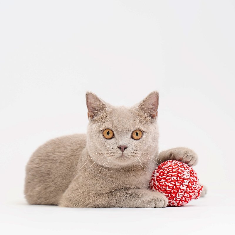 【 JAYU PET 】木天蓼纾压猫咪玩具 抗菌纱线 纯手工缝制 - 玩具 - 其他材质 