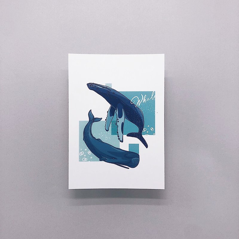 鲸∣明信片 - 卡片/明信片 - 纸 多色