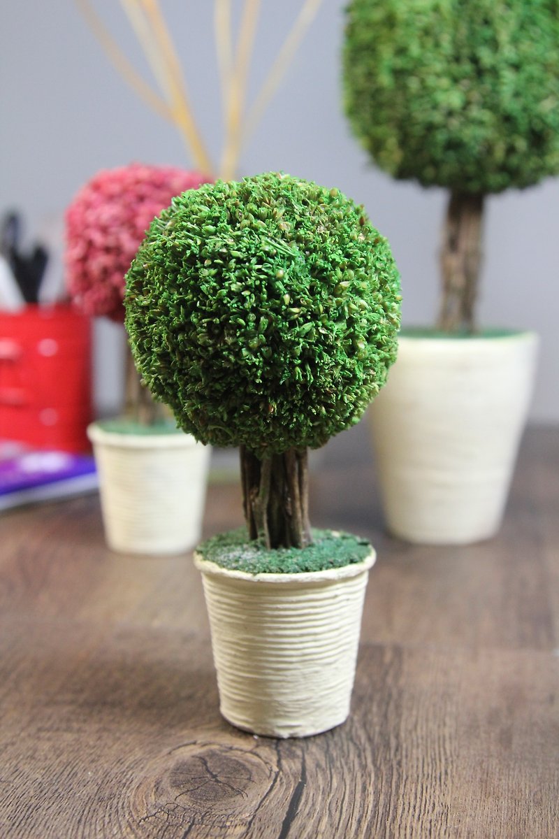 SUSS-日本Magnets干燥花球摆饰小芳香树 (绿)-礼物推荐-现货包邮 - 植栽/盆栽 - 植物．花 绿色