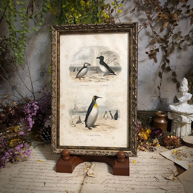 法国百年企鹅雕刻手工上色-重新裱框版画