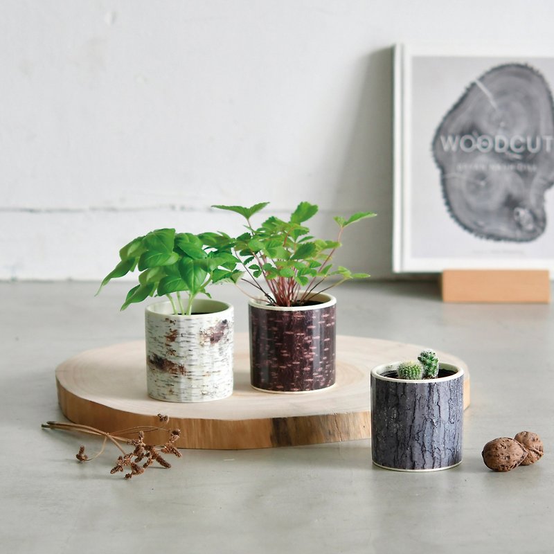 【新款上市】Wood & Green 木纹陶瓷栽培组系列 - 植栽/盆栽 - 陶 绿色