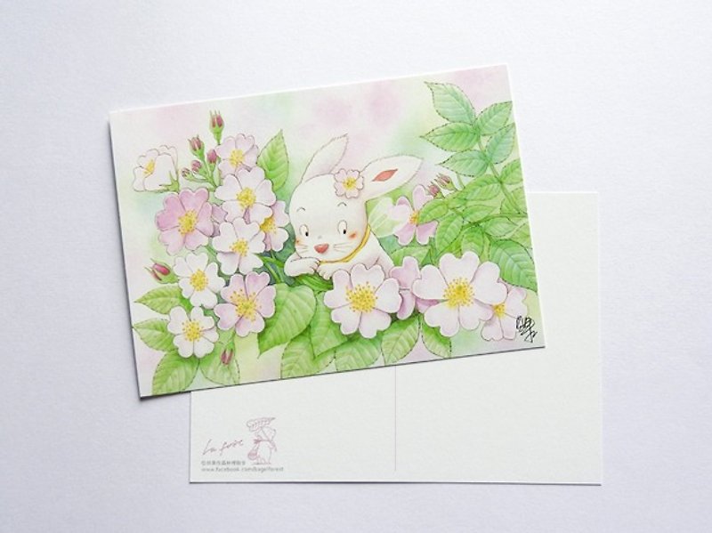 贝果插画明信片“蔷薇－小兔花精灵” - 卡片/明信片 - 纸 粉红色