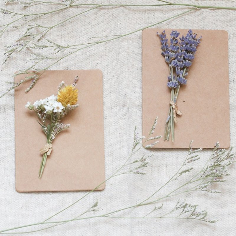三花猫手作花饰 干燥花卡片-手工卡片 新鲜干燥花 - 卡片/明信片 - 植物．花 绿色