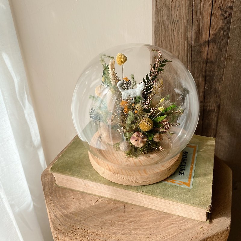 永生花 干燥花玻璃罩盅 猫咪摆件 森林系 - 干燥花/捧花 - 植物．花 绿色