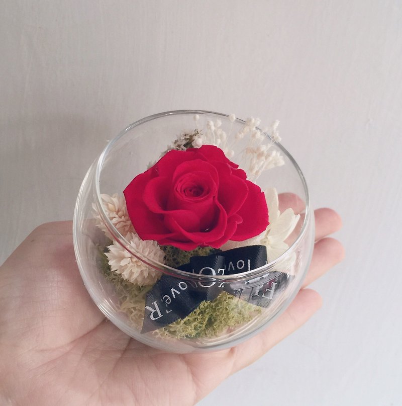 Flover 芙拉设计 “你的小世界” 永生玫瑰玻璃圆球花 - 植栽/盆栽 - 植物．花 