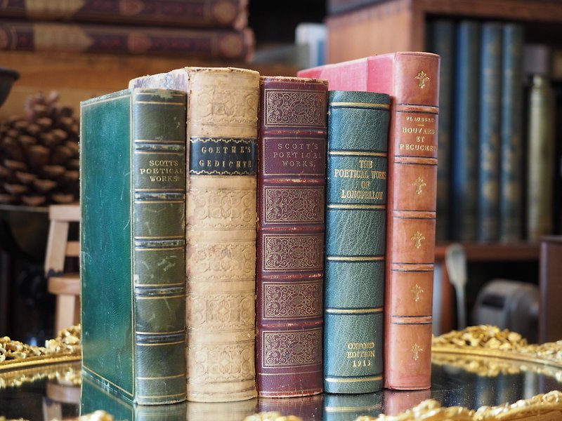 欧洲1800年-1900年的皮质装真古董书（超过一百岁真品) 五本一组 - 其他 - 纸 咖啡色