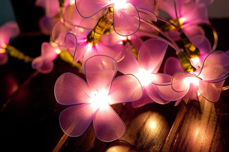 20 Purple Flower String Lights for Home Decoration Party Wedding Bedroom Patio and Decoration - 灯具/灯饰 - 其他材质 
