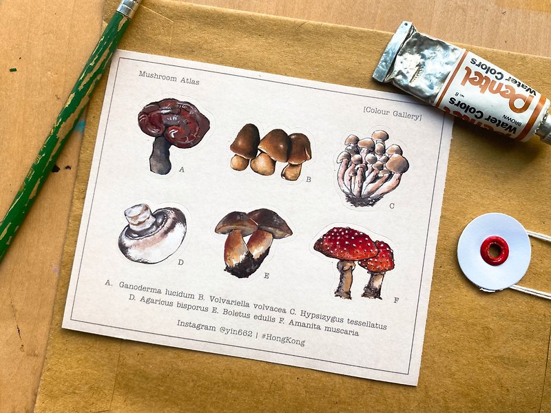 【奇妙万物】美好菇菌类图鉴 - 插图贴纸 - 贴纸 - 纸 卡其色