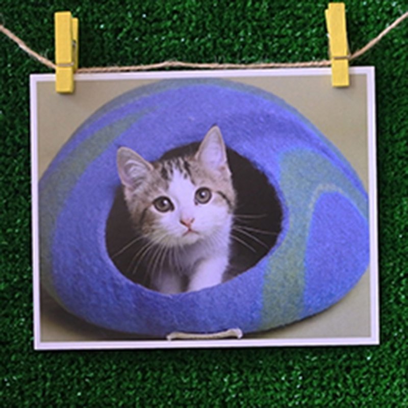 3猫小铺猫咪写真明信片(摄影:猫夫人) – 稚气 - 卡片/明信片 - 纸 