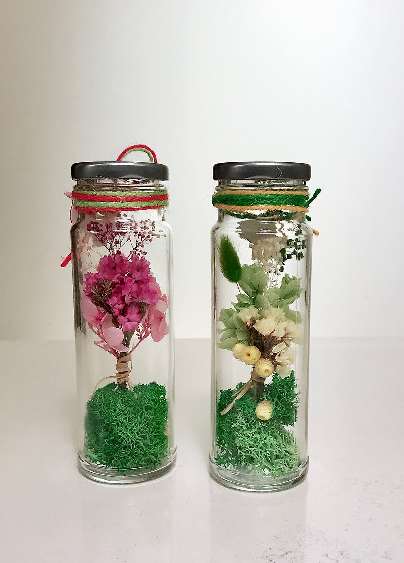 干燥花/不凋花瓶/桌上摆饰/生日礼物/瓶中小花束/绿色苔藓底 - 摆饰 - 植物．花 粉红色