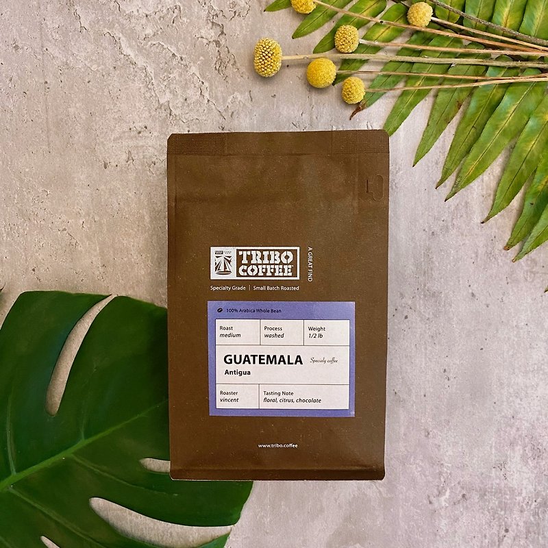 危地马拉 安提瓜 花神 水洗 中焙 (半磅咖啡豆) - 咖啡 - 其他材质 
