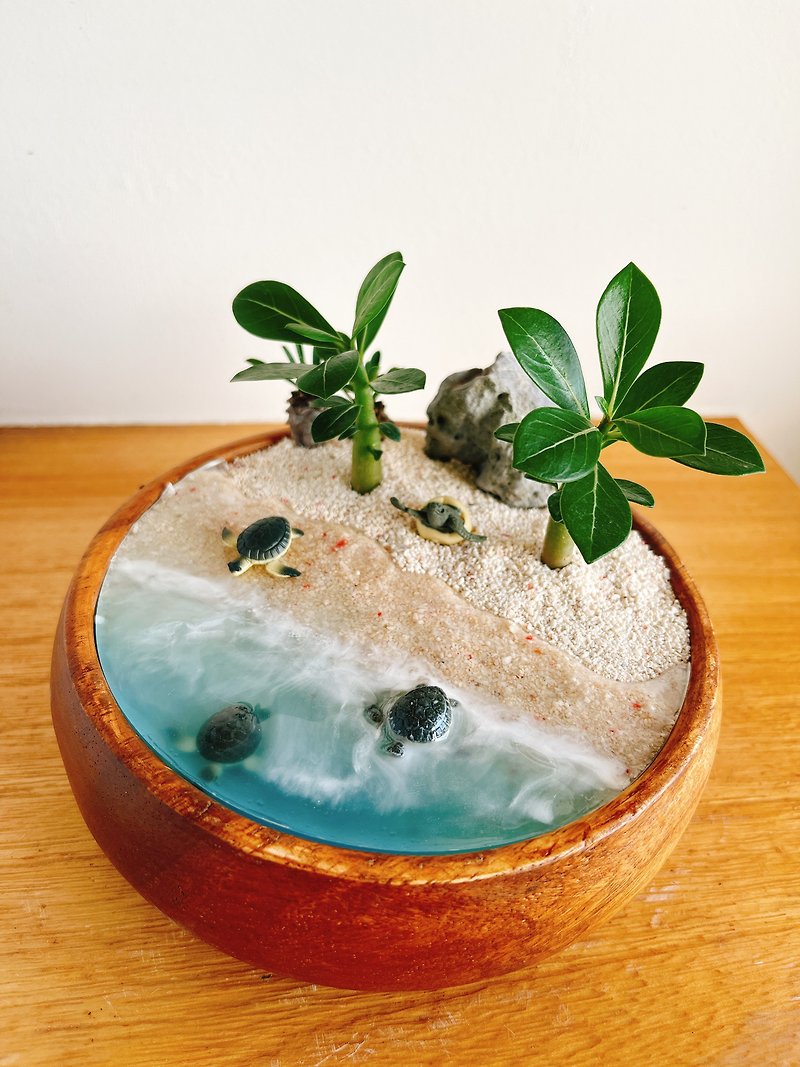 纯自然 小海龟 滴胶 多肉 木碗 海滩 孵化 送礼 animal beach - 植栽/盆栽 - 植物．花 蓝色