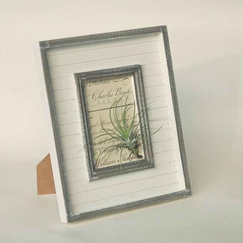 植物画框-空气凤梨/让室内充满优雅的气质/礼物/生日/新居 - 植栽/盆栽 - 植物．花 绿色