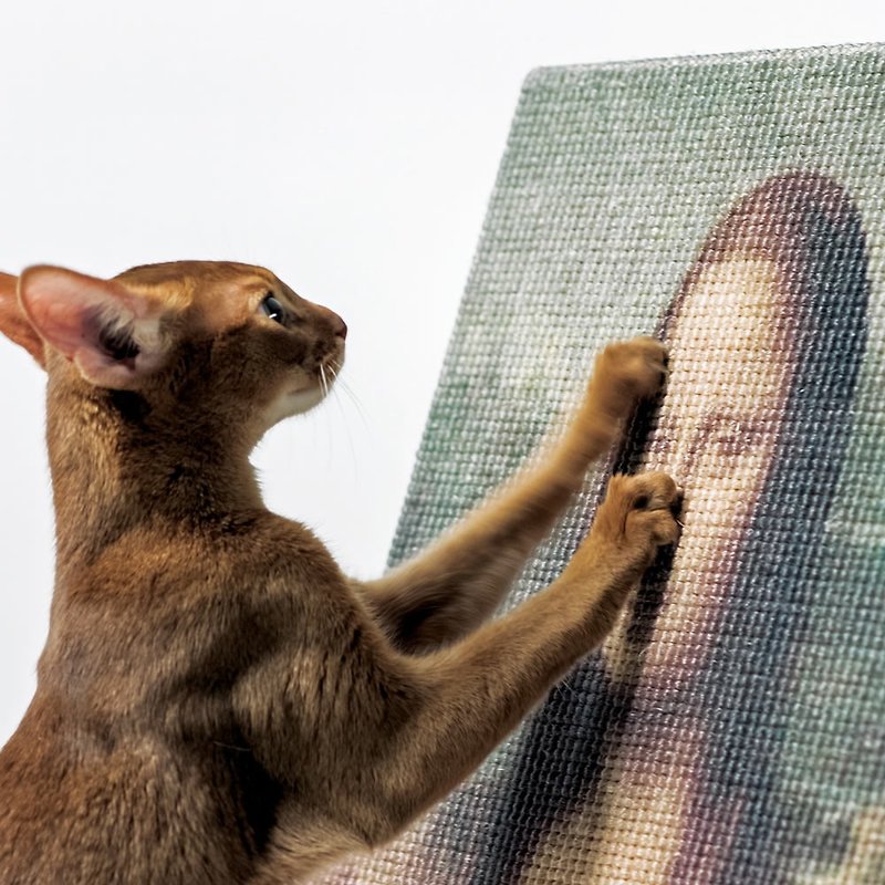 蒙娜丽莎 The Mona Lisa艺术名画猫抓板 - 抓板/跳台 - 棉．麻 卡其色
