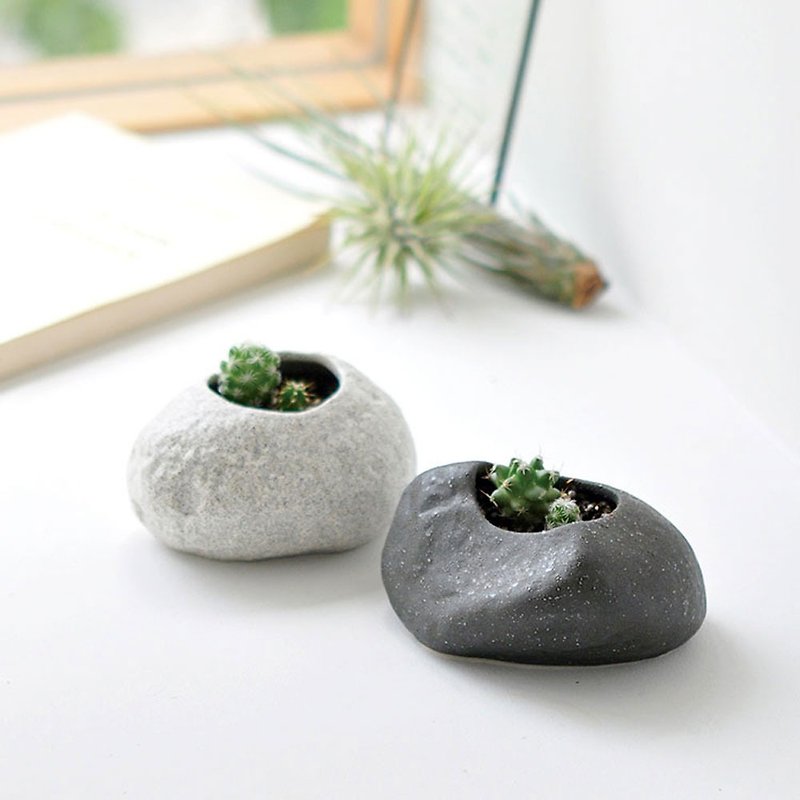 Rock Stone 石头造型 仙人掌植栽种植组 陶瓷盆器 - 植栽/盆栽 - 陶 灰色