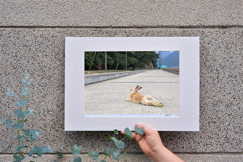 限量兔子摄影艺术原作 - 自在 - 摆饰 - 纸 蓝色