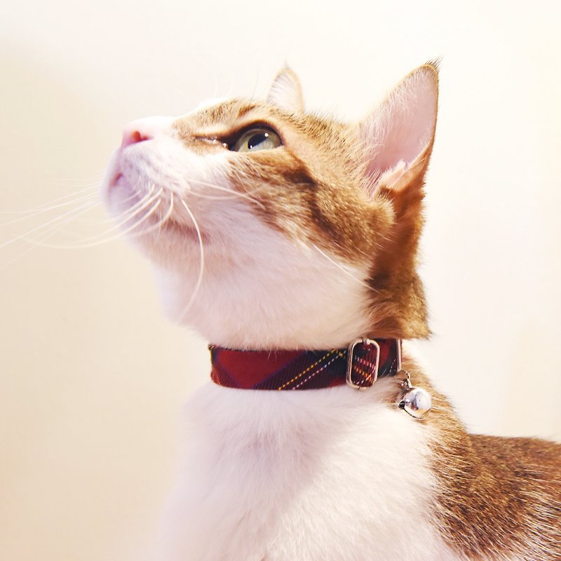 经典格纹猫咪项圈-使用安全扣【ZAZAZOO】 - 项圈/牵绳 - 棉．麻 多色
