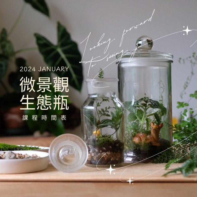 减速节奏 | 微景疗愈生态瓶_赠照顾工具 - 植栽 - 植物．花 