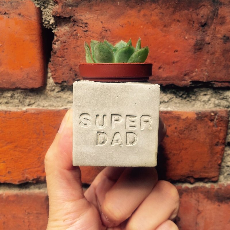 父亲节礼物。Super Dad 超人爸爸。多肉磁铁盆栽 - 植栽/盆栽 - 水泥 灰色