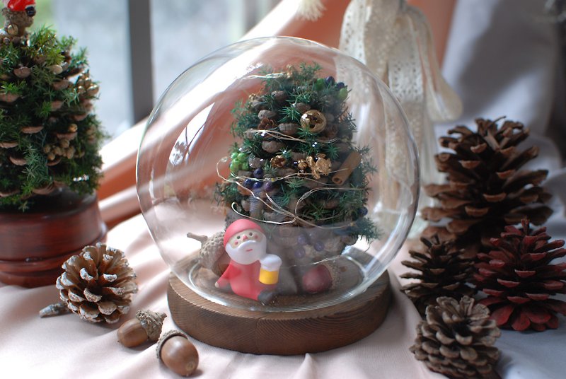 DIY 水晶球松果圣诞树 - 干燥花/捧花 - 植物．花 
