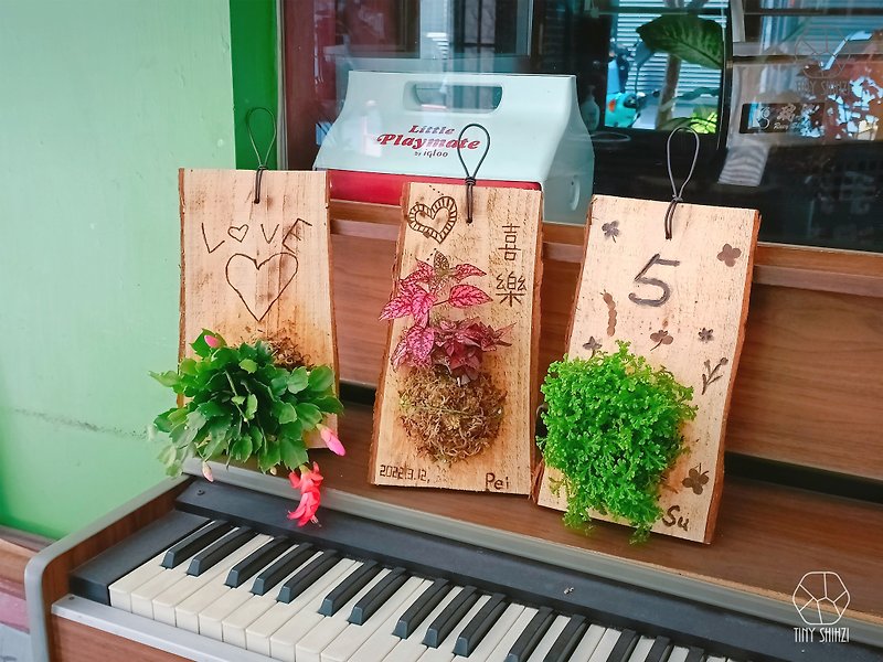 台南【绿上板】有温度的卡片・手作生日礼物 - 植栽 - 植物．花 