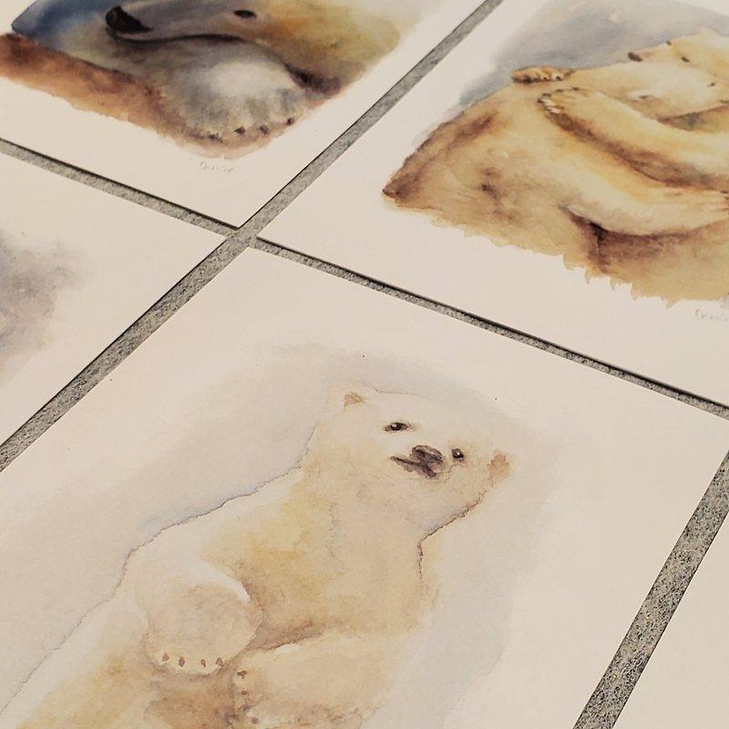 北极熊水彩明信片 (10张) - 卡片/明信片 - 纸 白色