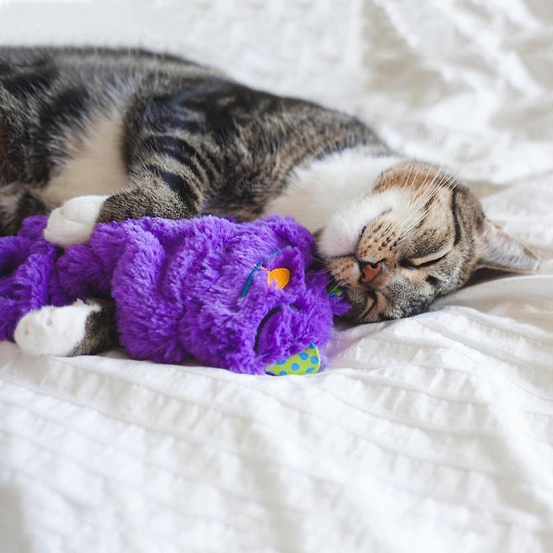 猫咪睡枕 打呼猫睡垫 抱枕 疗育的打呼声可以帮助猫咪入睡 - 床垫/笼子 - 其他材质 