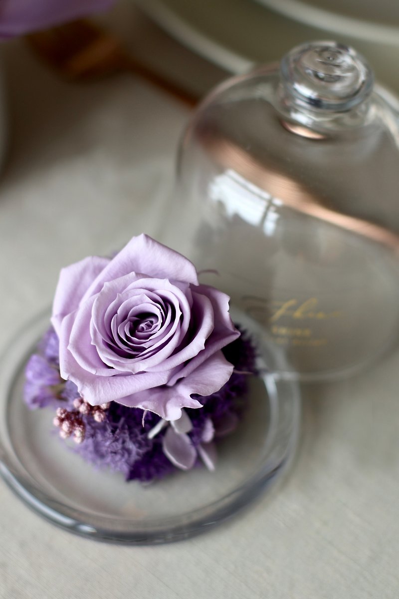 紫不凋花玫瑰玻璃盅罩 - 干燥花/捧花 - 植物．花 紫色