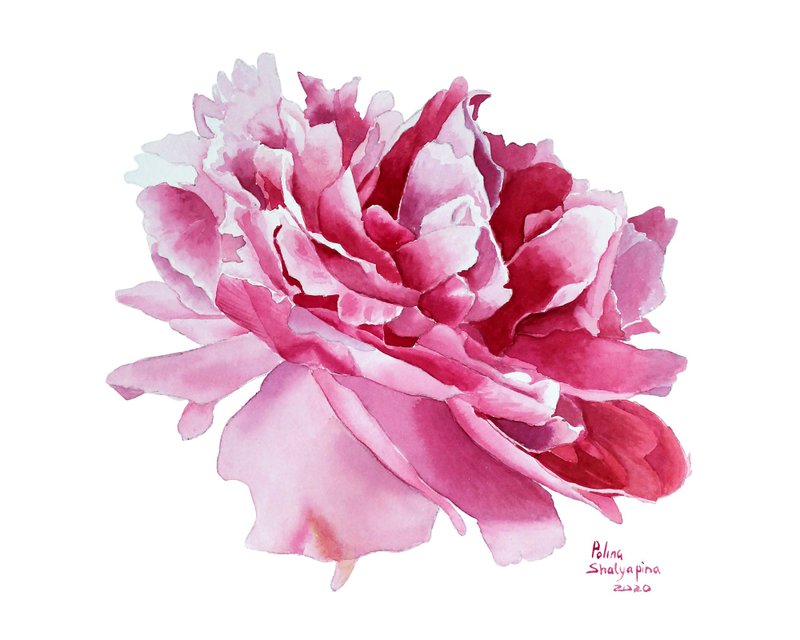 Peony Painting Original Watercolor Floral Wall Art Pink Flower Artwork - 海报/装饰画/版画 - 纸 粉红色