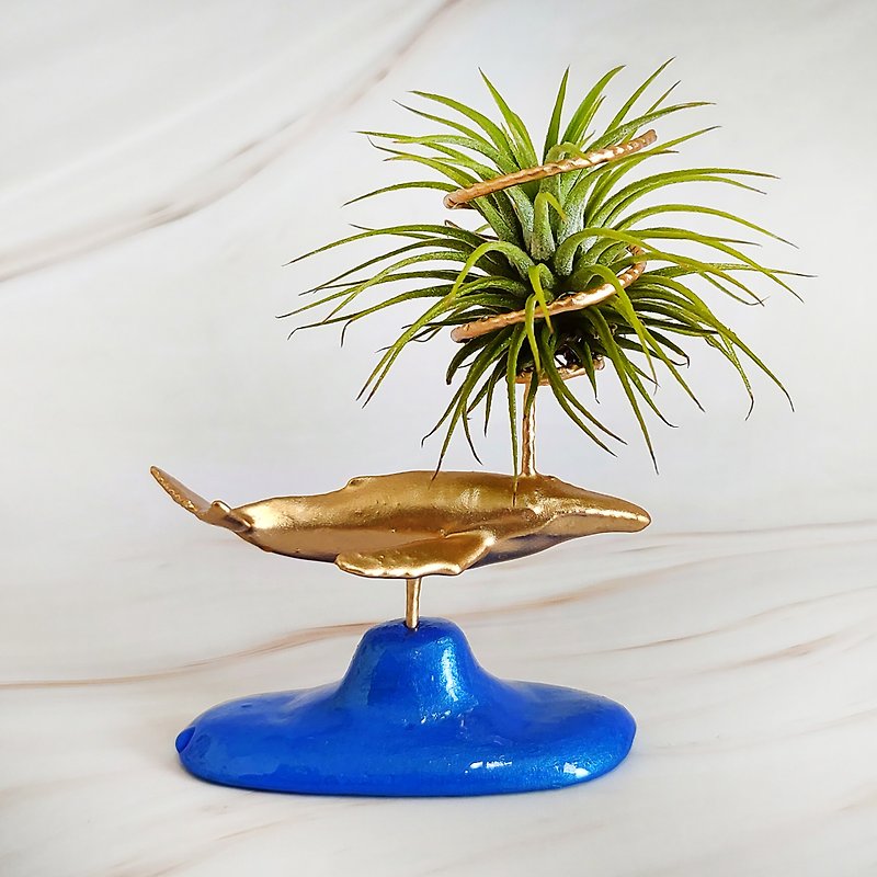 Air Plant Holder (Humpback Whale) for gift and decorate - 植栽/盆栽 - 树脂 金色