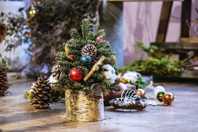 【圣诞限定】-25厘米圣诞树手作课程+香氛组合 - 植栽 - 植物．花 