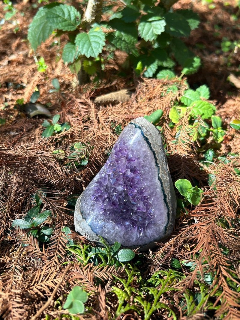 华光-藏晶阁 | 乌拉圭紫水晶晶洞 | 生命灵数 | 对应眉心轮 顶轮 - 摆饰 - 水晶 