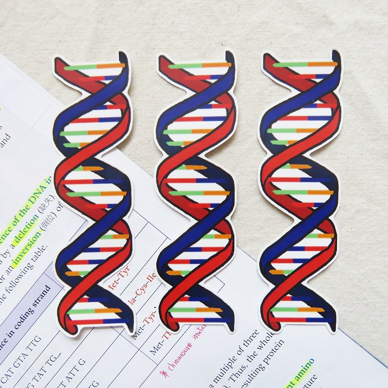 【买一送一】脱氧核醣核酸 DNA 大贴纸 / 遗传基因 生物学 - 贴纸 - 防水材质 多色