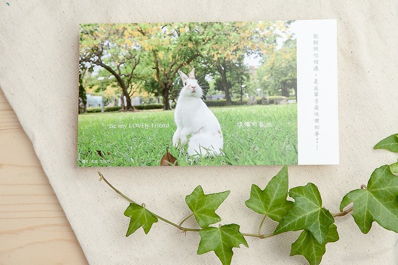 兔子摄影插画明信片 - 灿烂的喜悦 - 卡片/明信片 - 纸 黄色