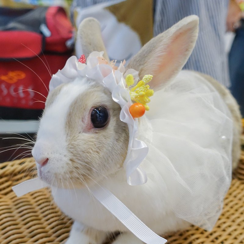 兔子花花浪漫婚礼头纱 - 衣/帽 - 其他材质 白色