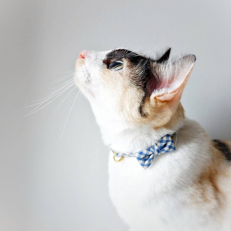 MICKEY: Handmade tiny Bow-tie breakaway cat collar - 项圈/牵绳 - 棉．麻 咖啡色