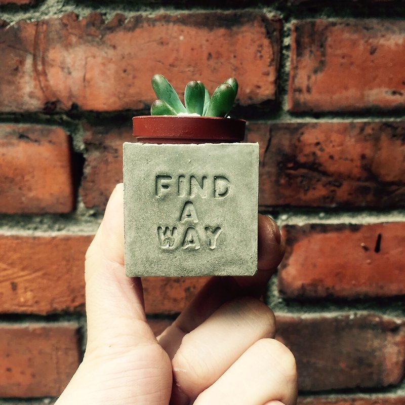Find a way 找到自己的路～!多肉磁铁盆栽 - 植栽/盆栽 - 水泥 灰色