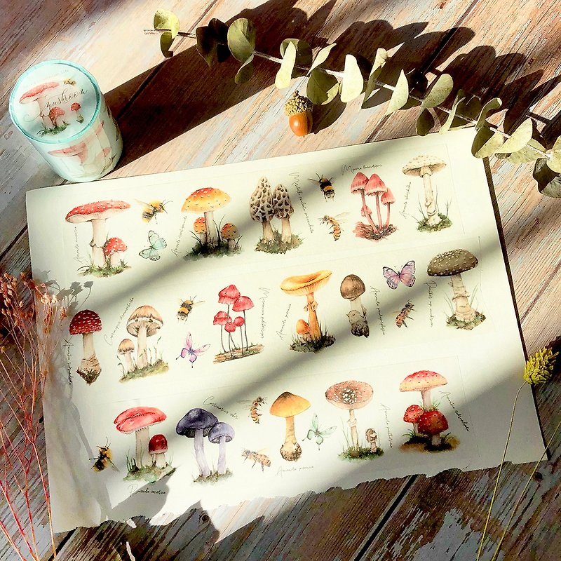 Mushroom 纸胶带 (带白色离型纸) 6CM - 纸胶带 - 纸 