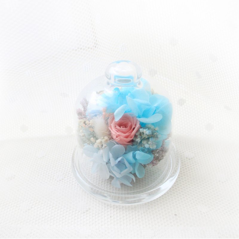 缤纷糖果色玻璃罐・永生花与蓝绣球干燥花礼 - 花瓶/陶器 - 植物．花 粉红色