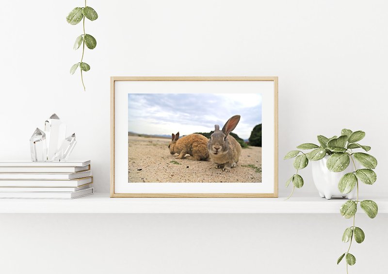兔子摄影艺术微喷作品 - 化身为兔子后的对话 - 海报/装饰画/版画 - 纸 卡其色