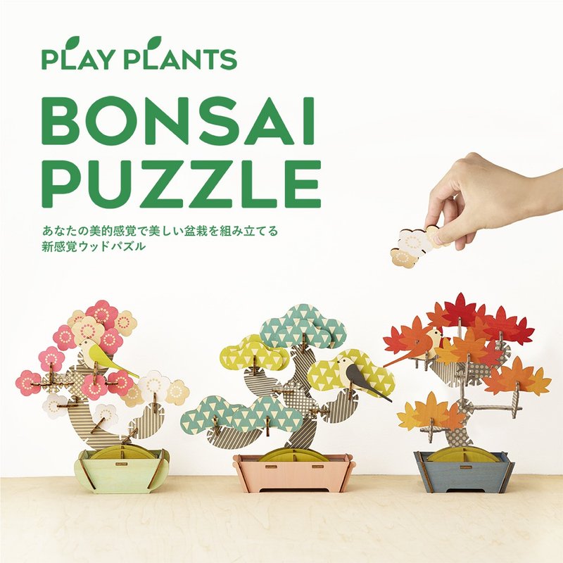 Dreams BONSAI PUZZLE 立体拼图 - 其他 - 纸 多色