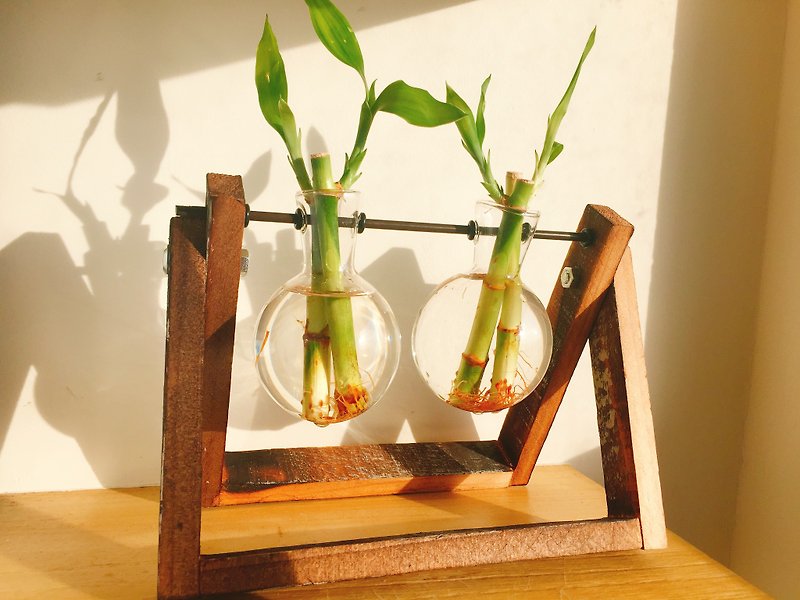 纯自然 绿意盎然 木架 玻璃瓶 竹子 盆栽 植物 送礼 - 植栽/盆栽 - 竹 绿色
