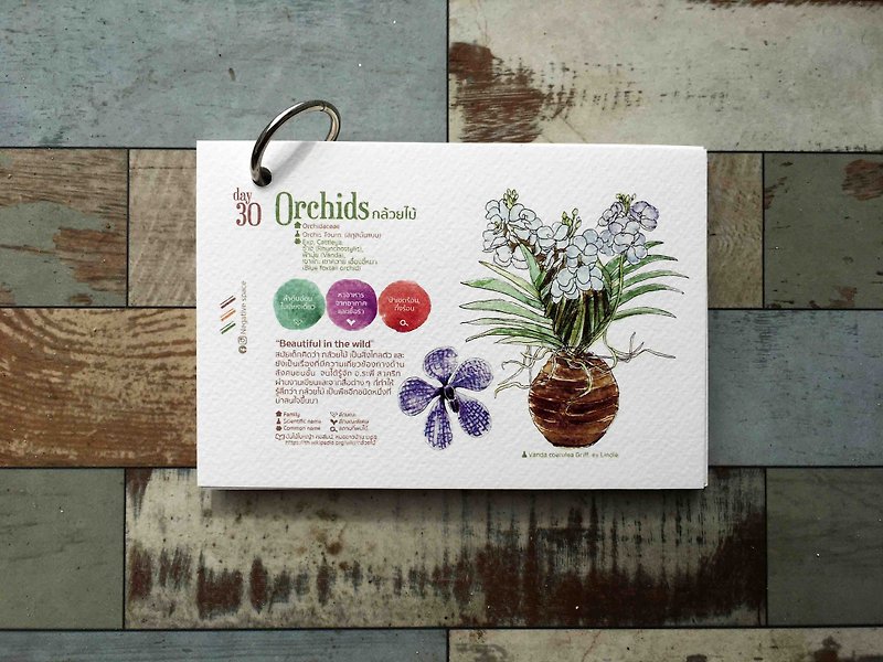 【orchids calendar card】【Pinkoi Xmas 2022】【ของขวัญคริสต์มาส】 - 卡片/明信片 - 纸 